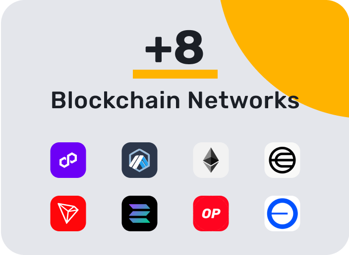 Blockchain Networks